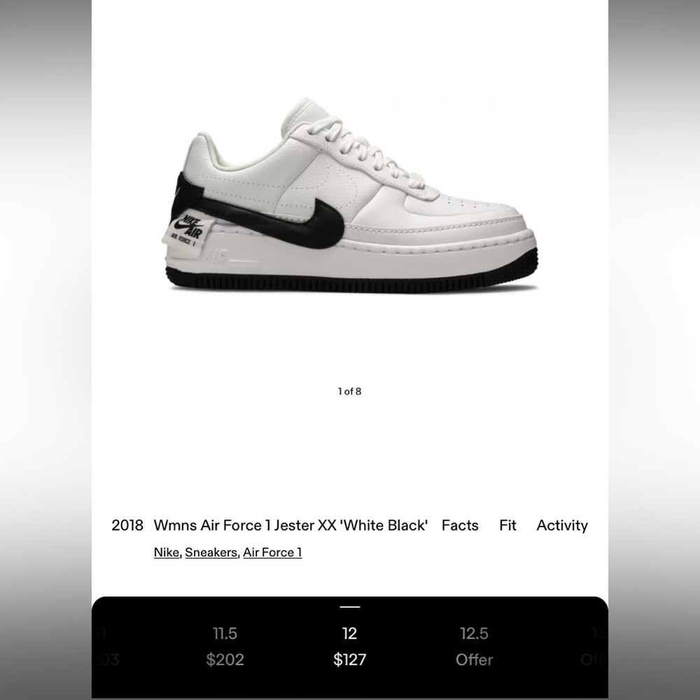 Air Force jesters